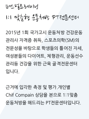 main_555555